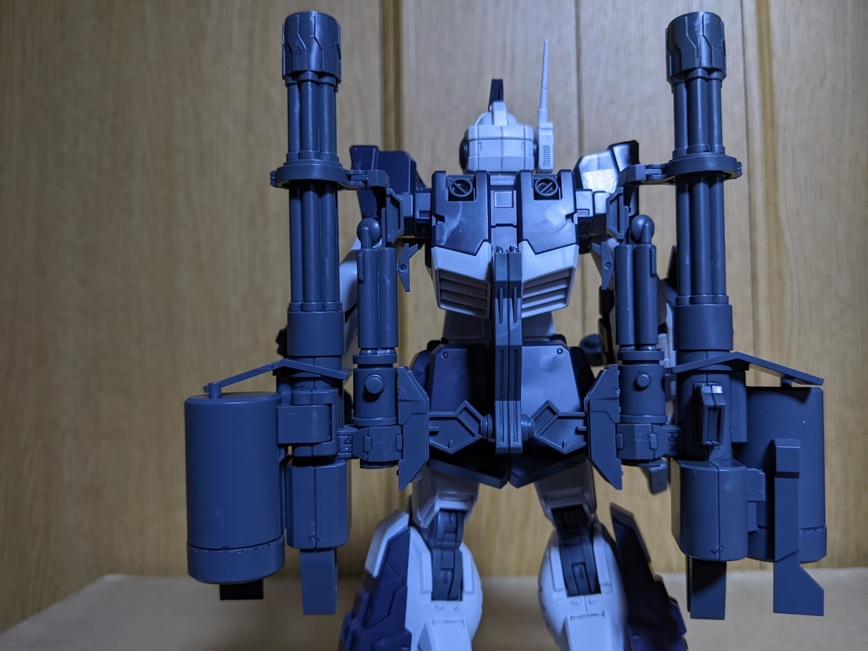 1/100 MG ジム・ドミナンス（フィリップ・ヒューズ機